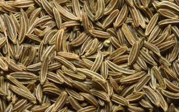 Earthy Cumin